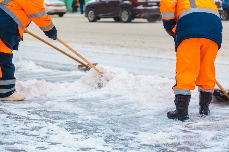 Local Sidewalk Snow Removal Service pros at work